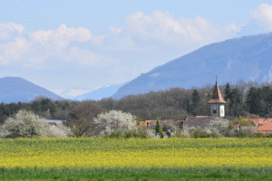 Arrivée du printemps (Genève)