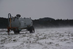 Au-vent-d'hiver-(Bavière) 