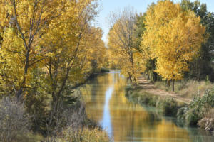 Au canal de Castille (Espagne)