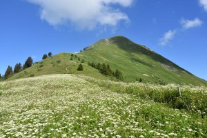 En-descendant-le-Môle-(Hte-   