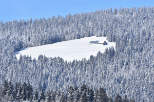 Ferme la haut (Vallée-de-Joux)