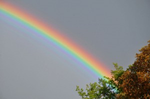 L'arc-en-ciel-(Genève)   