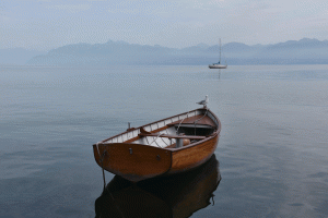 La-mouette-(Lac-Léman)