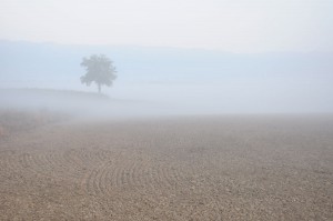 Matin d'automne-(Genève)   