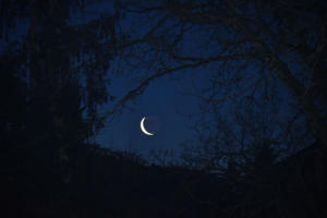 Quart de lune (Genève)